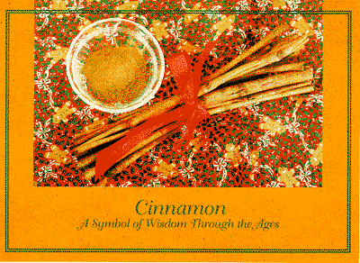 cinnamon_front.gif - 123097 Bytes