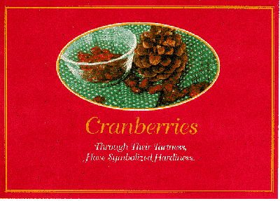 cranberries_front.gif - 123097 Bytes